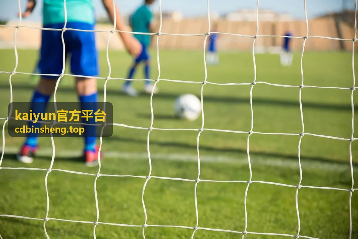 kaiyun官方平台企业服务行业项目交付与工时核算方案